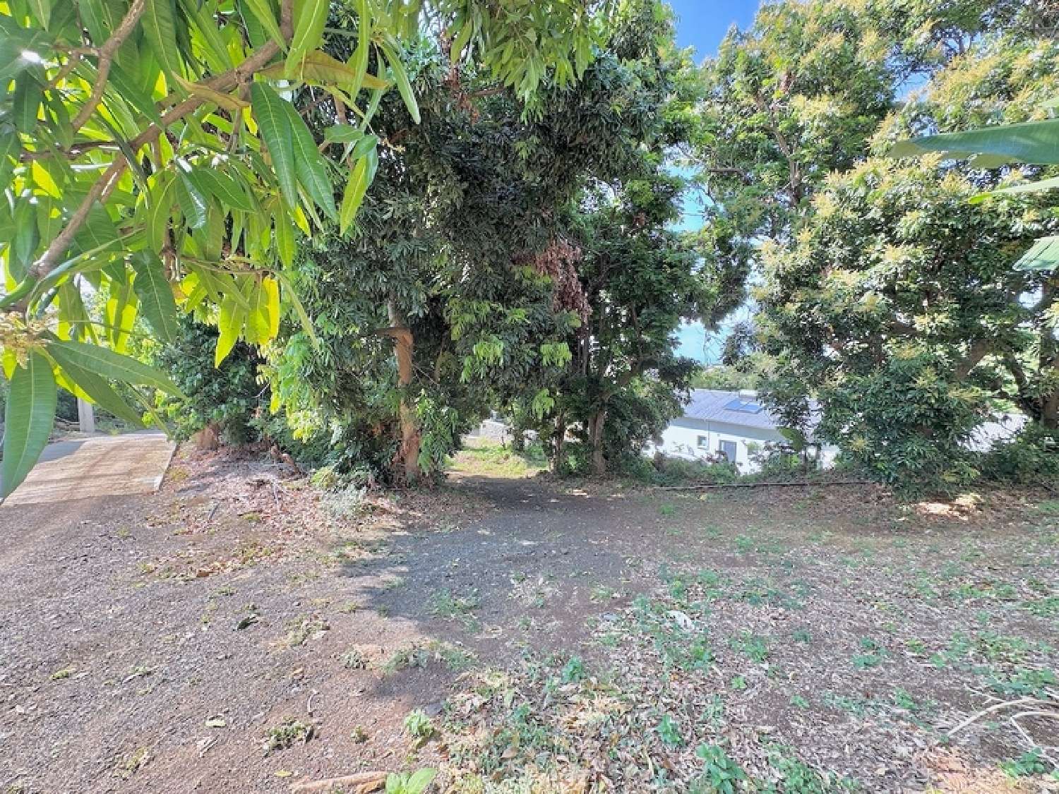 te koop terrein Saint-Louis La Réunion 4