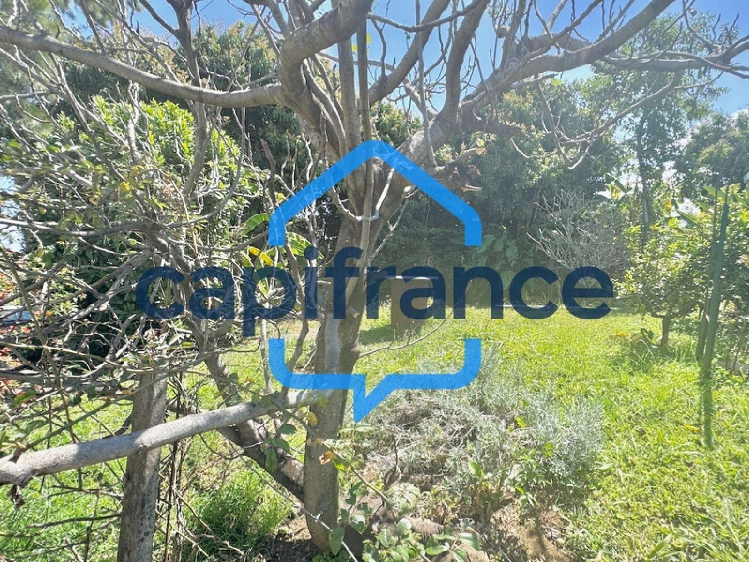  te koop terrein Saint-Pierre La Réunion 1