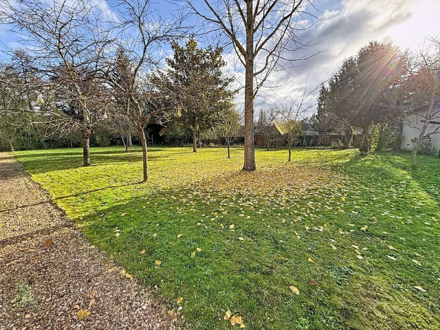 for sale terrain Saint-Roch Indre-et-Loire 2