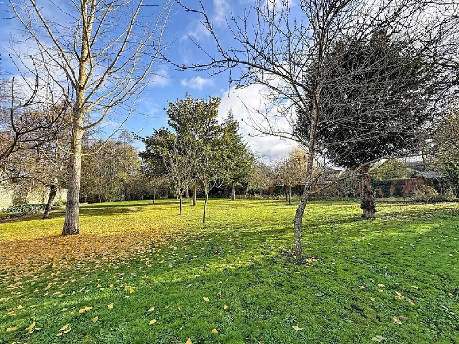 for sale terrain Saint-Roch Indre-et-Loire 4