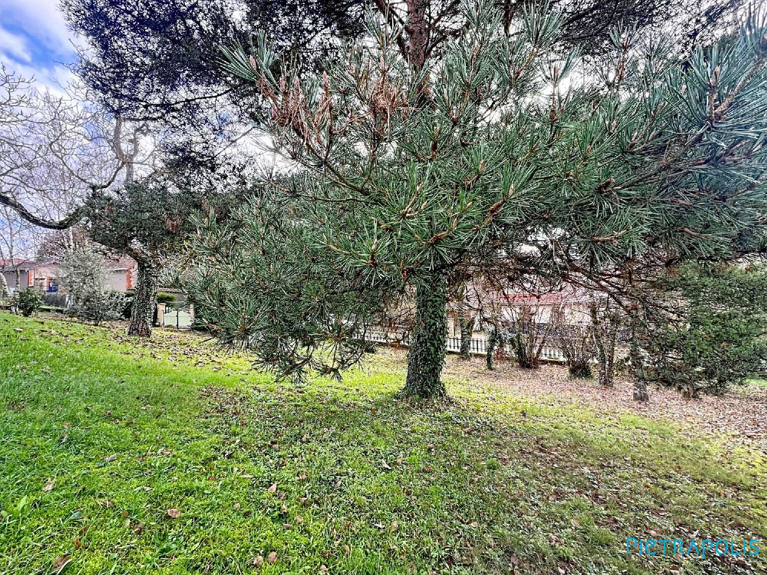  for sale terrain Saint-Romain-de-Popey Rhône 2