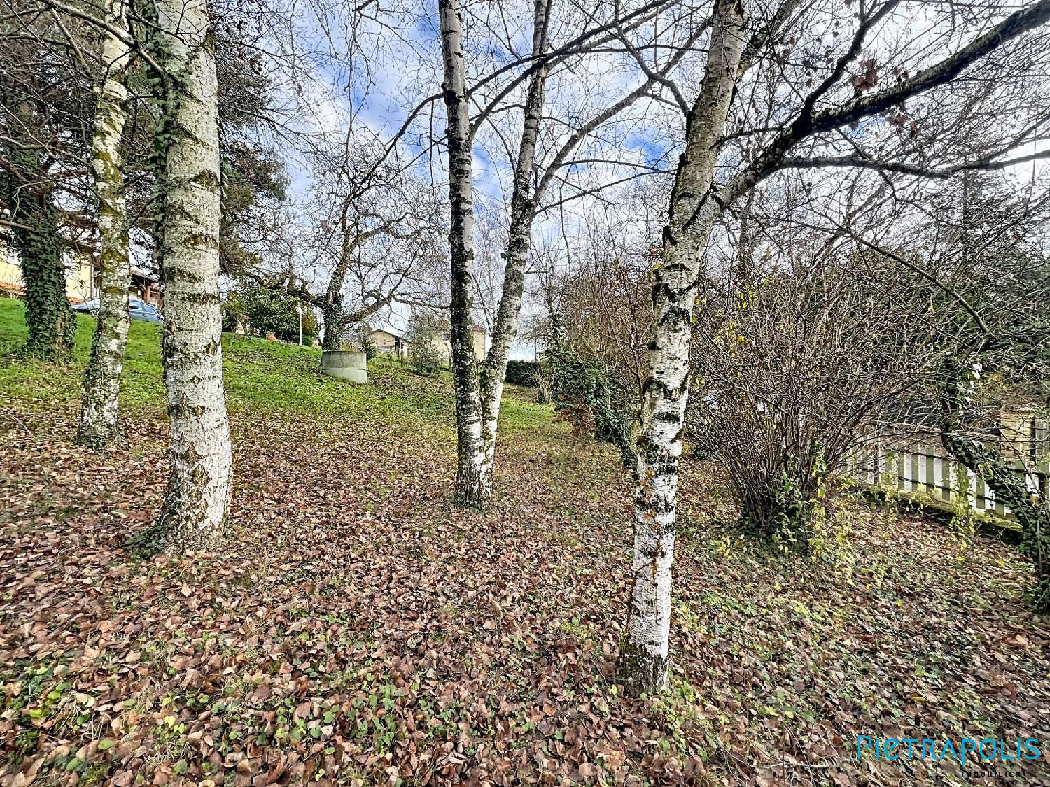  for sale terrain Saint-Romain-de-Popey Rhône 3