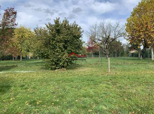 Saint-Romain-de-Popey Rhône terrain foto 7229846