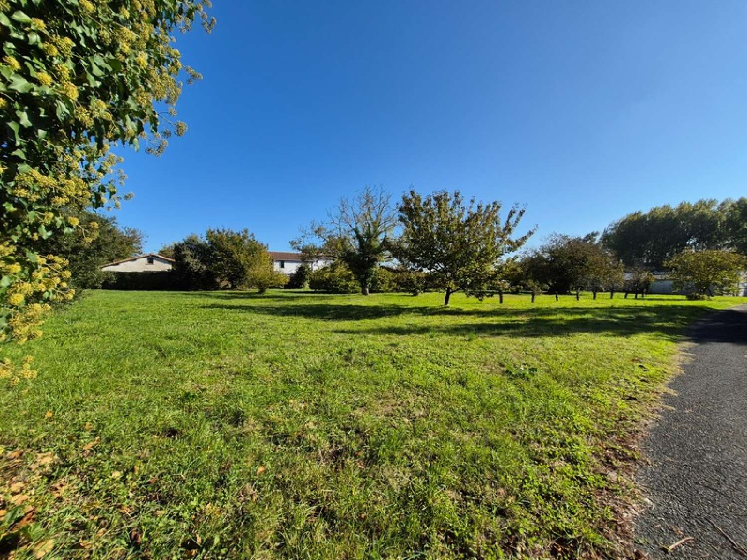  te koop terrein Saint-Savinien Charente-Maritime 2