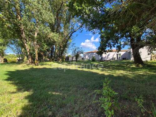 Saint-Sulpice-de-Royan Charente-Maritime terrain foto 7228322