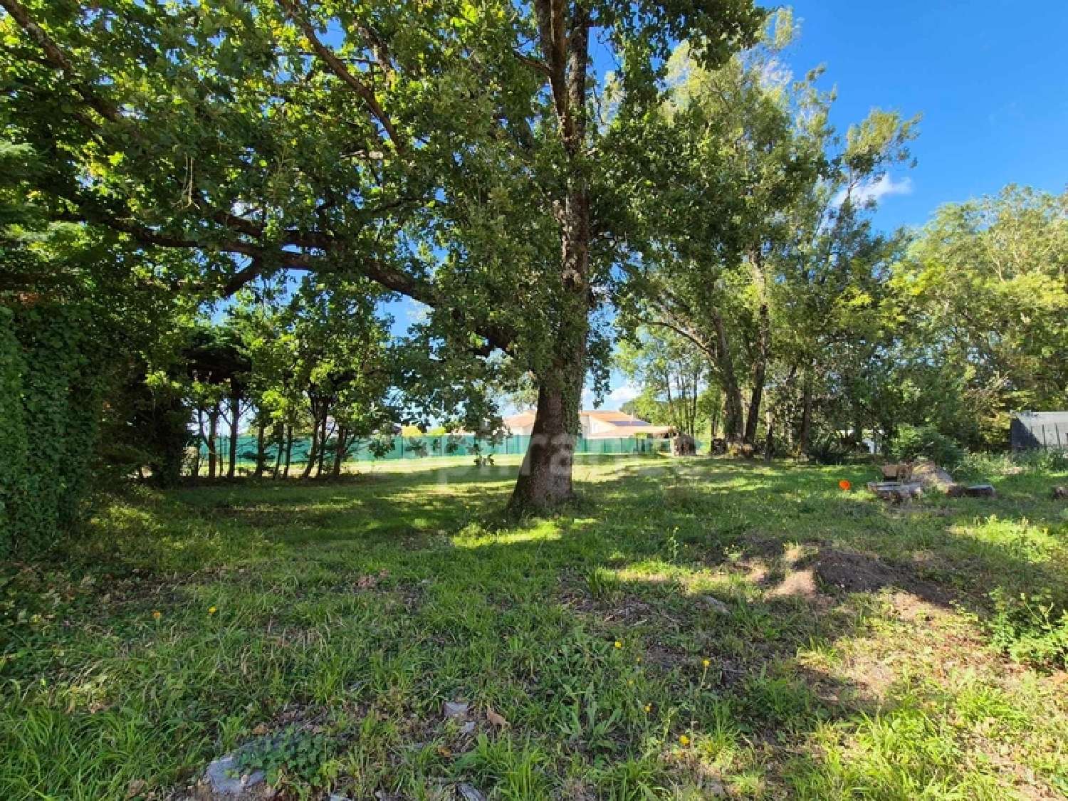  à vendre terrain Saint-Sulpice-de-Royan Charente-Maritime 2