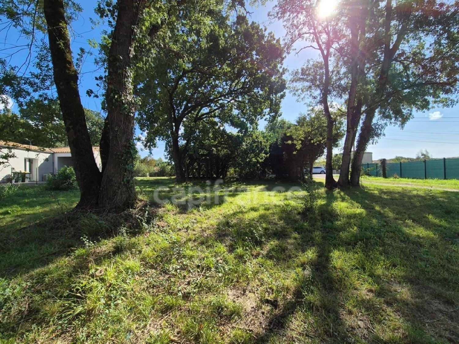  à vendre terrain Saint-Sulpice-de-Royan Charente-Maritime 5