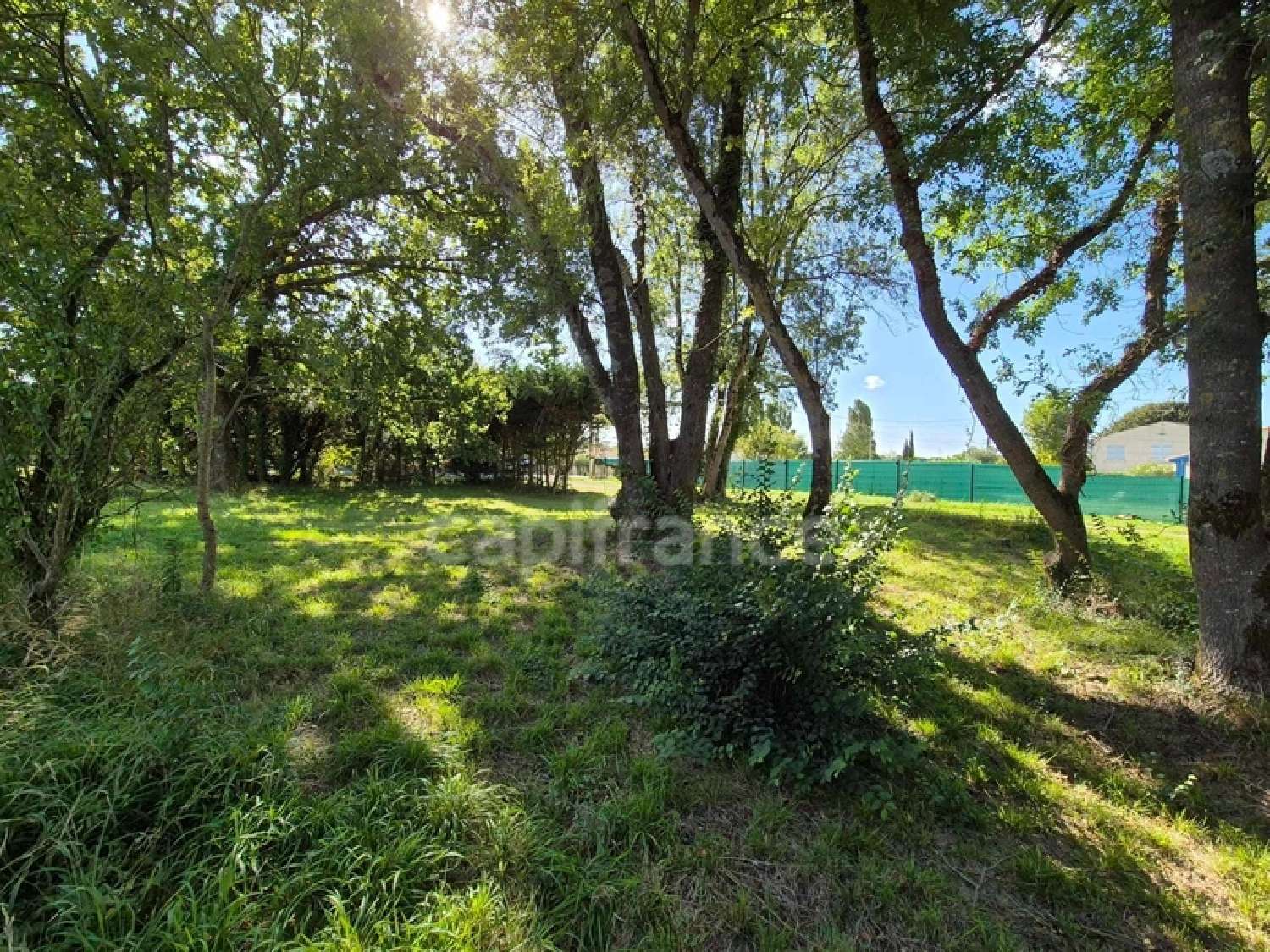  à vendre terrain Saint-Sulpice-de-Royan Charente-Maritime 6