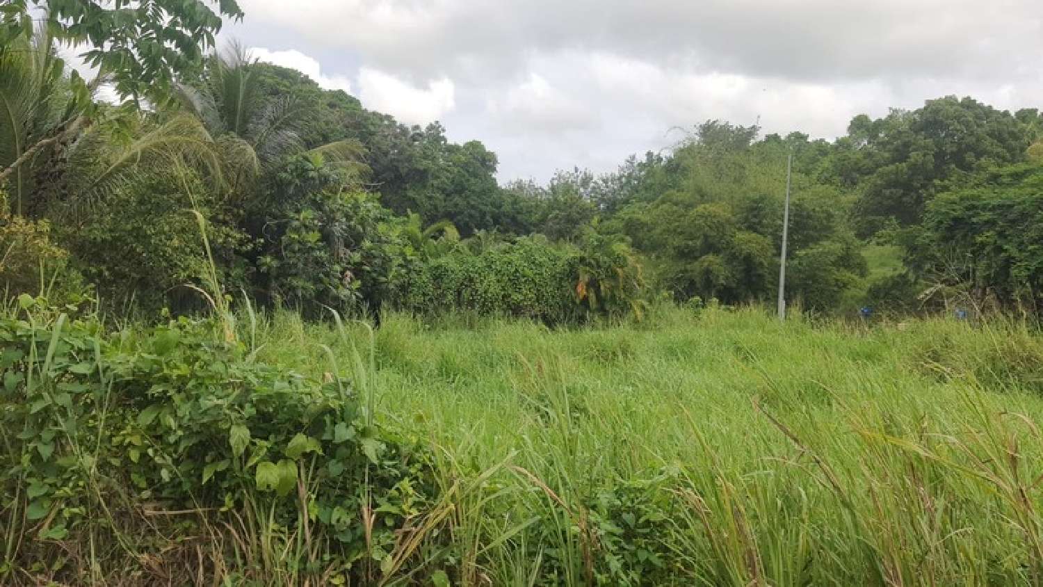 te koop terrein Sainte-Anne Guadeloupe 4