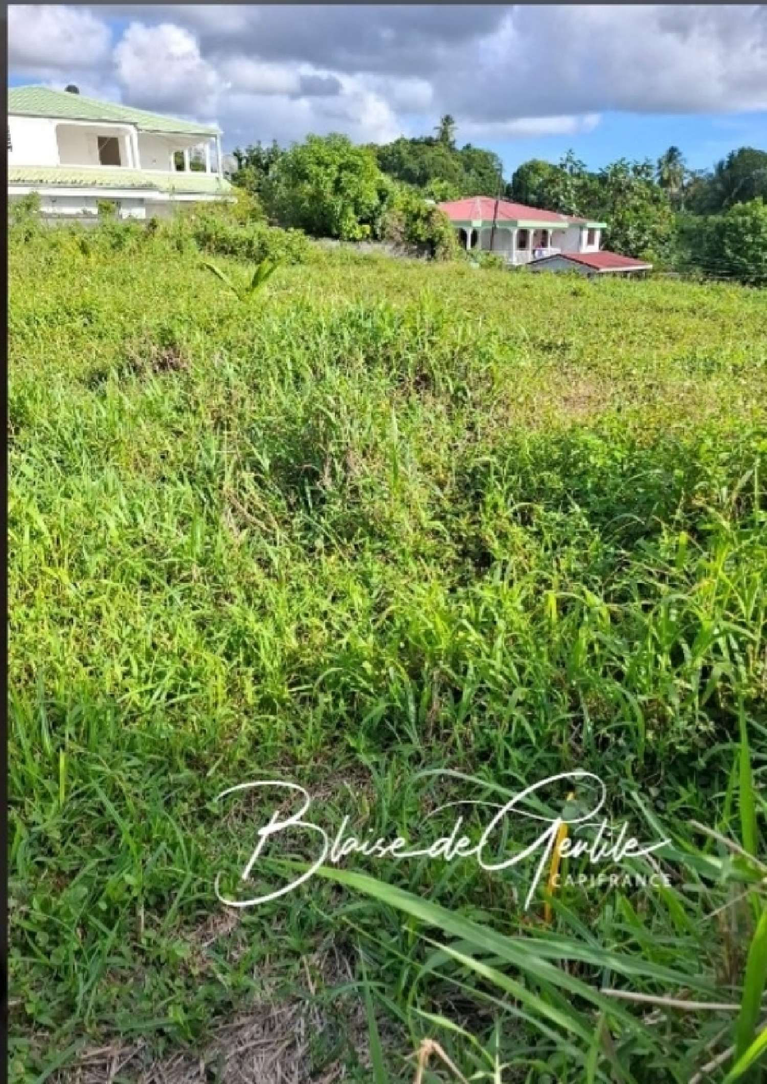 te koop terrein Sainte-Anne Guadeloupe 3