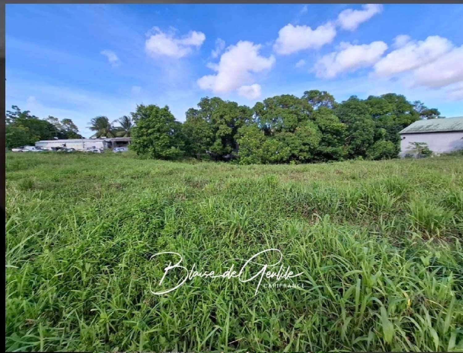 te koop terrein Sainte-Anne Guadeloupe 4