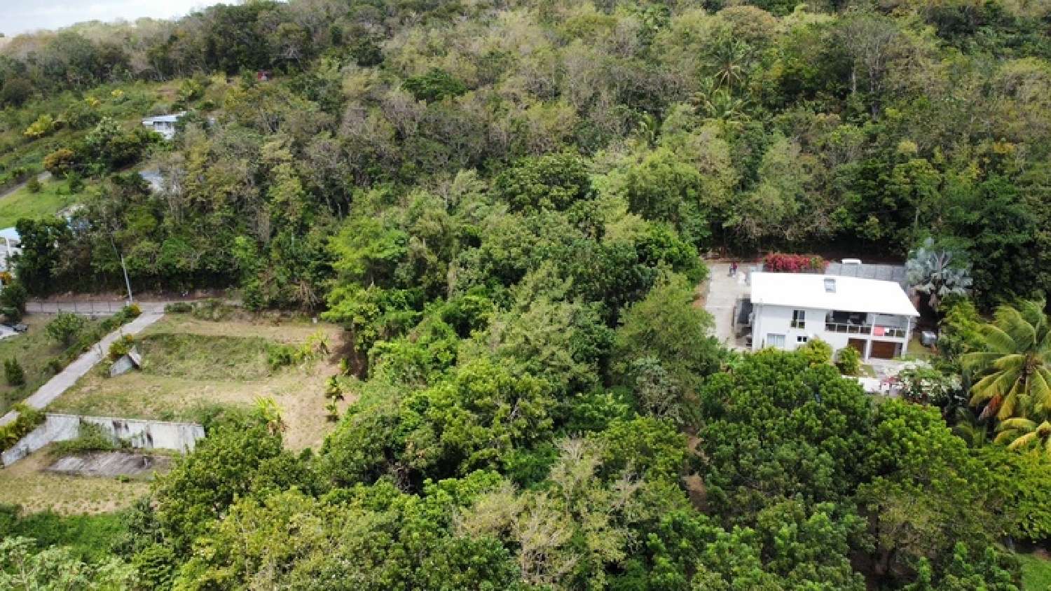 for sale terrain Sainte-Luce Martinique 4