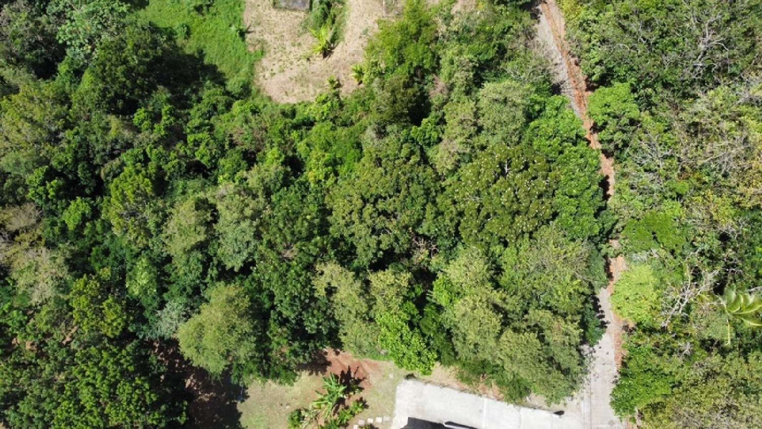 for sale terrain Sainte-Luce Martinique 5