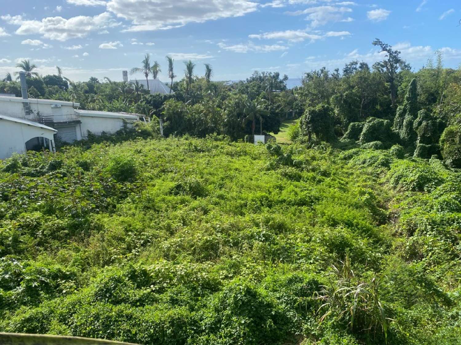 te koop terrein Sainte-Marie La Réunion 1