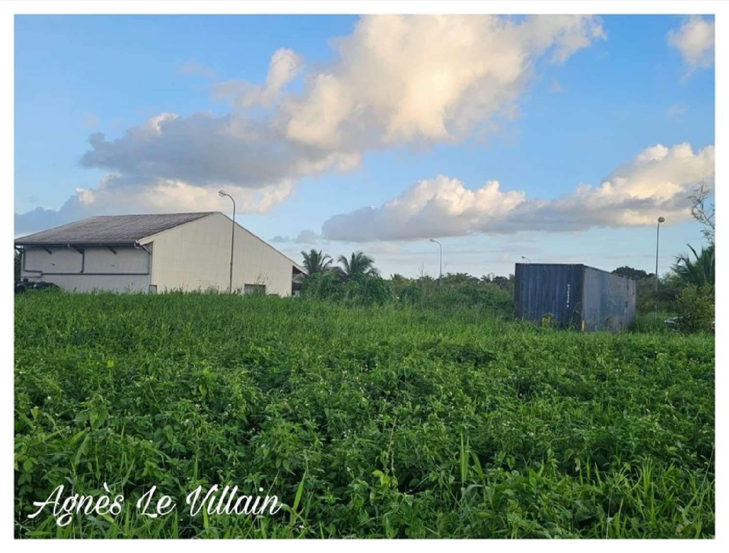 te koop terrein Sainte-Rose Guadeloupe 3