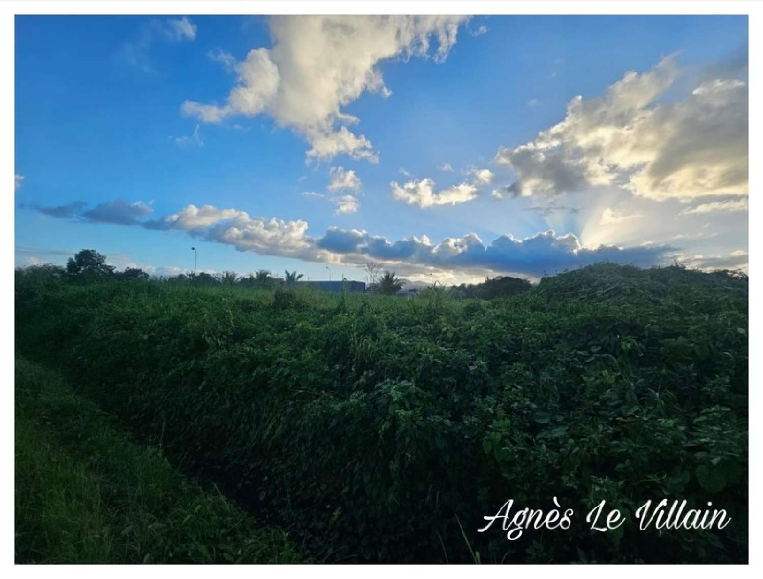 te koop terrein Sainte-Rose Guadeloupe 6