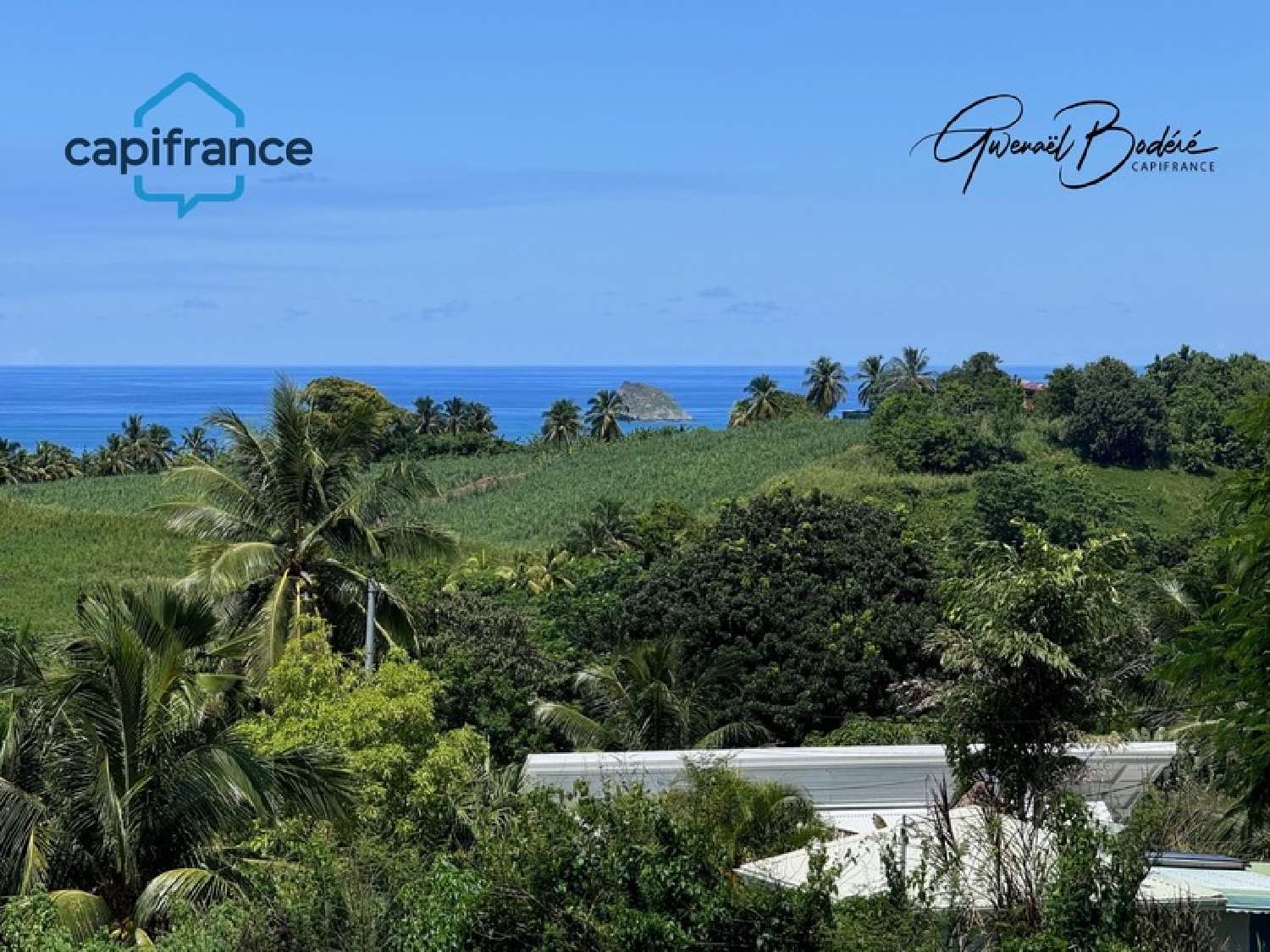 te koop terrein Sainte-Rose Guadeloupe 1
