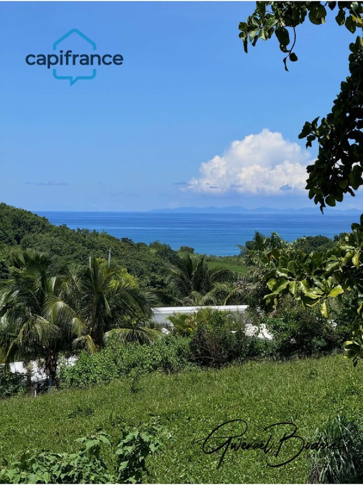 te koop terrein Sainte-Rose Guadeloupe 3
