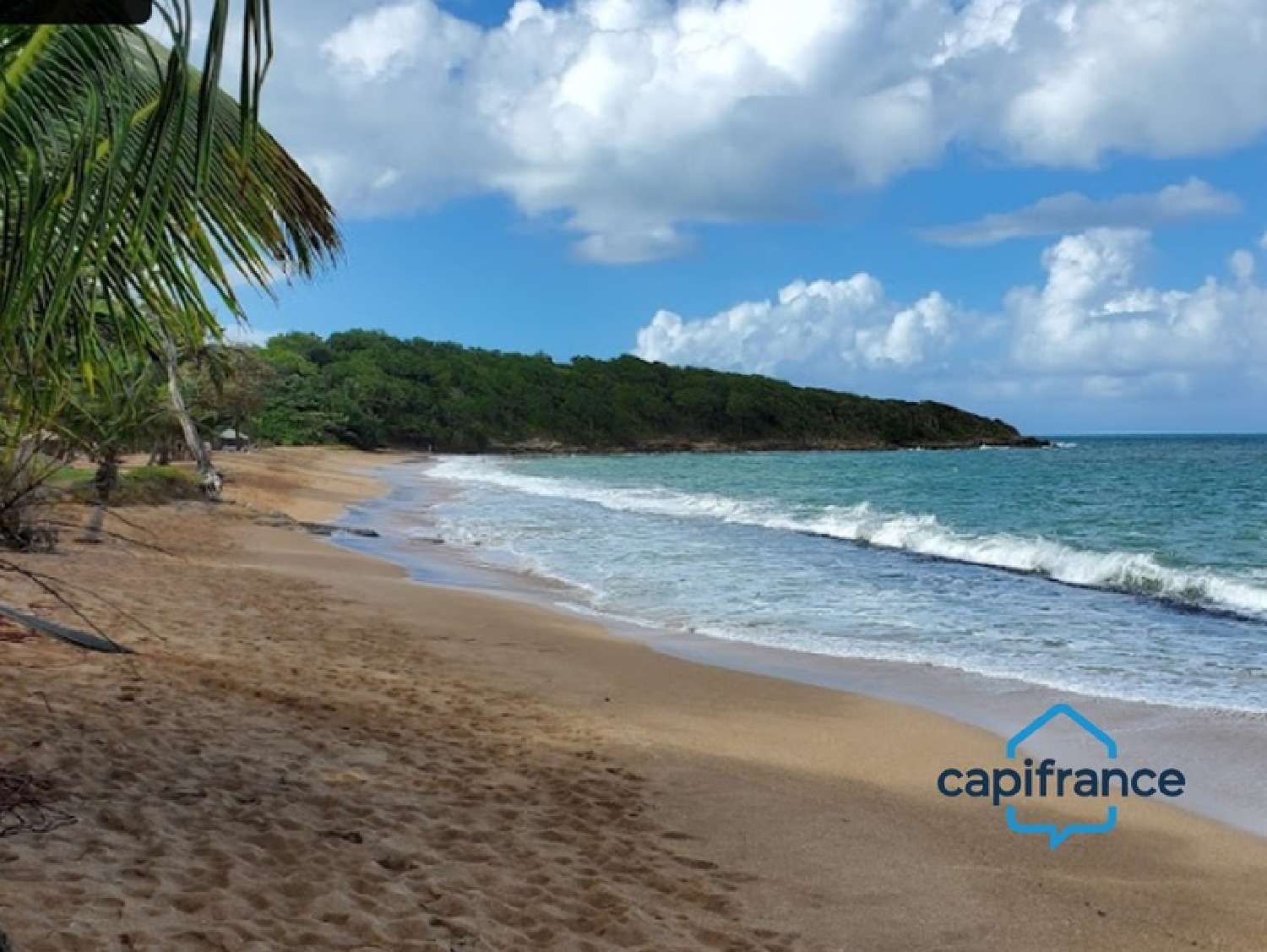 te koop terrein Sainte-Rose Guadeloupe 6