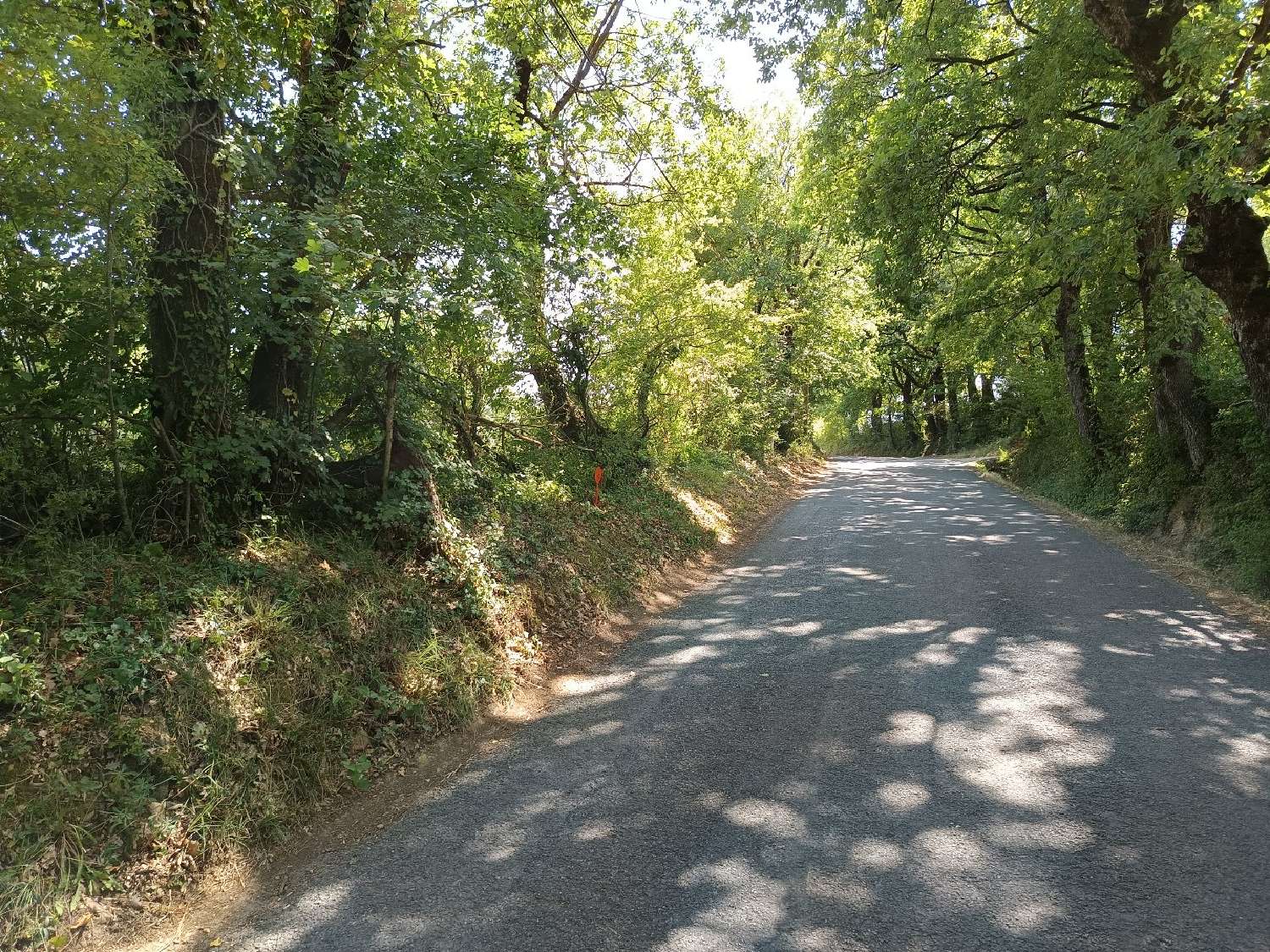  kaufen Grundstück Saix Tarn 3