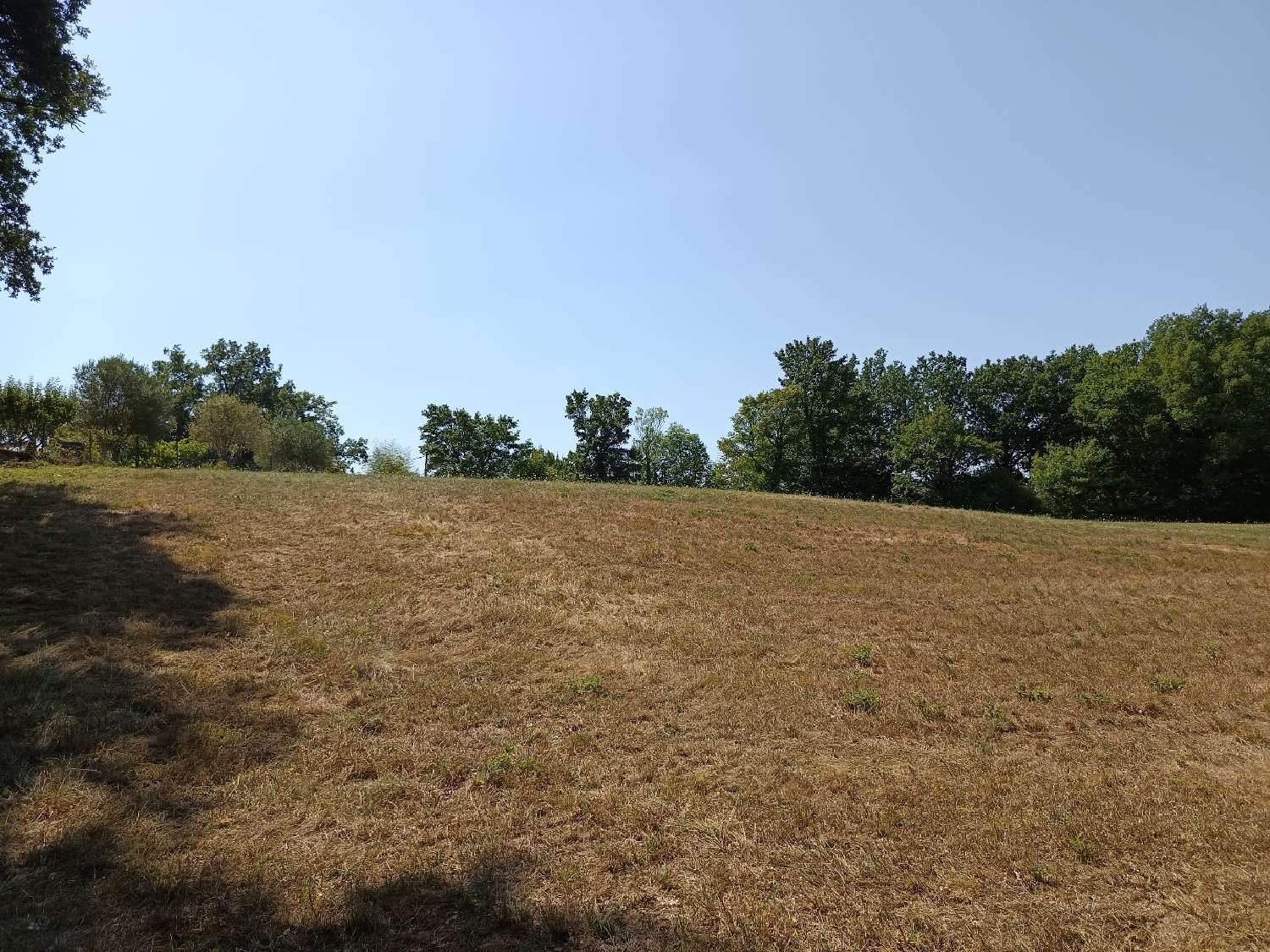  kaufen Grundstück Saix Tarn 1