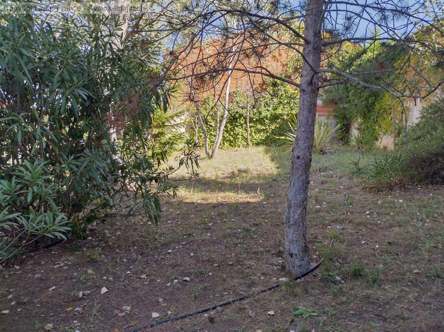  à vendre terrain Soulatgé Aude 1