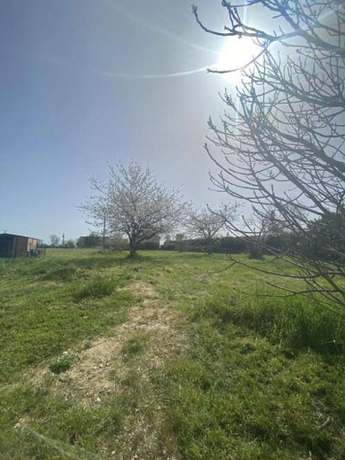 Targé Vienne terrain foto 7215414