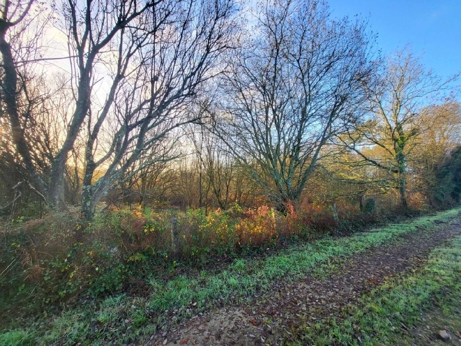  en venta terreno Telgruc-sur-Mer Finistère 1