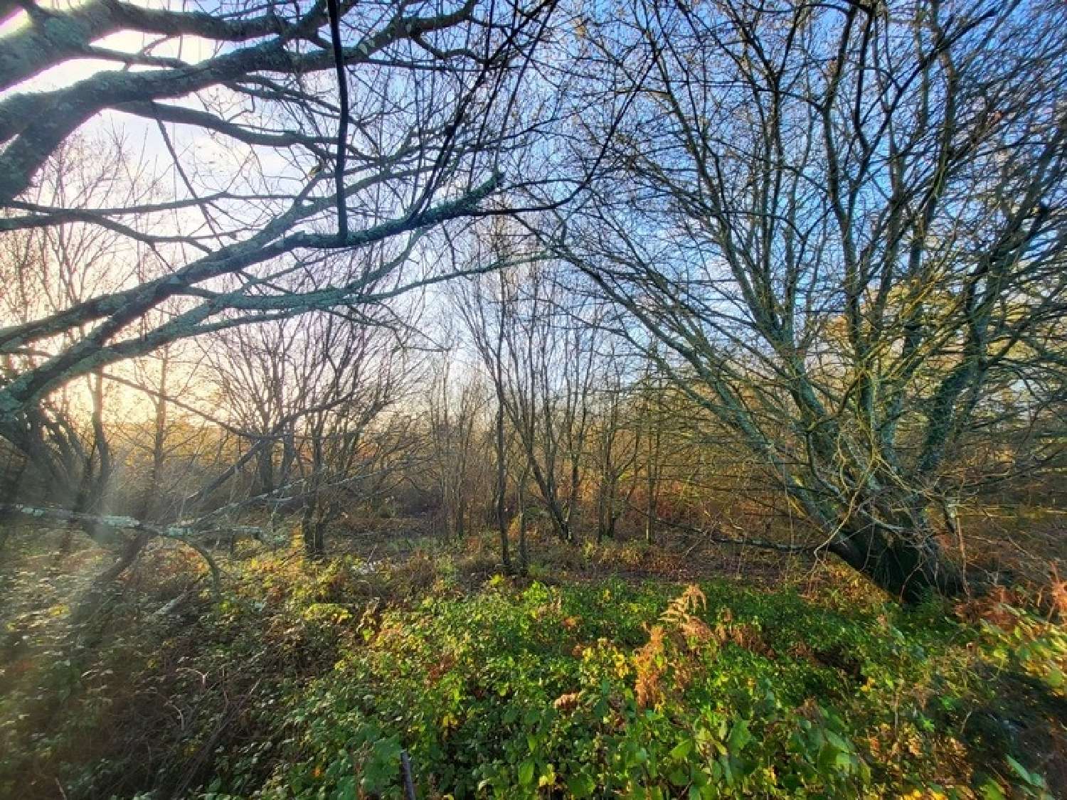  en venta terreno Telgruc-sur-Mer Finistère 3