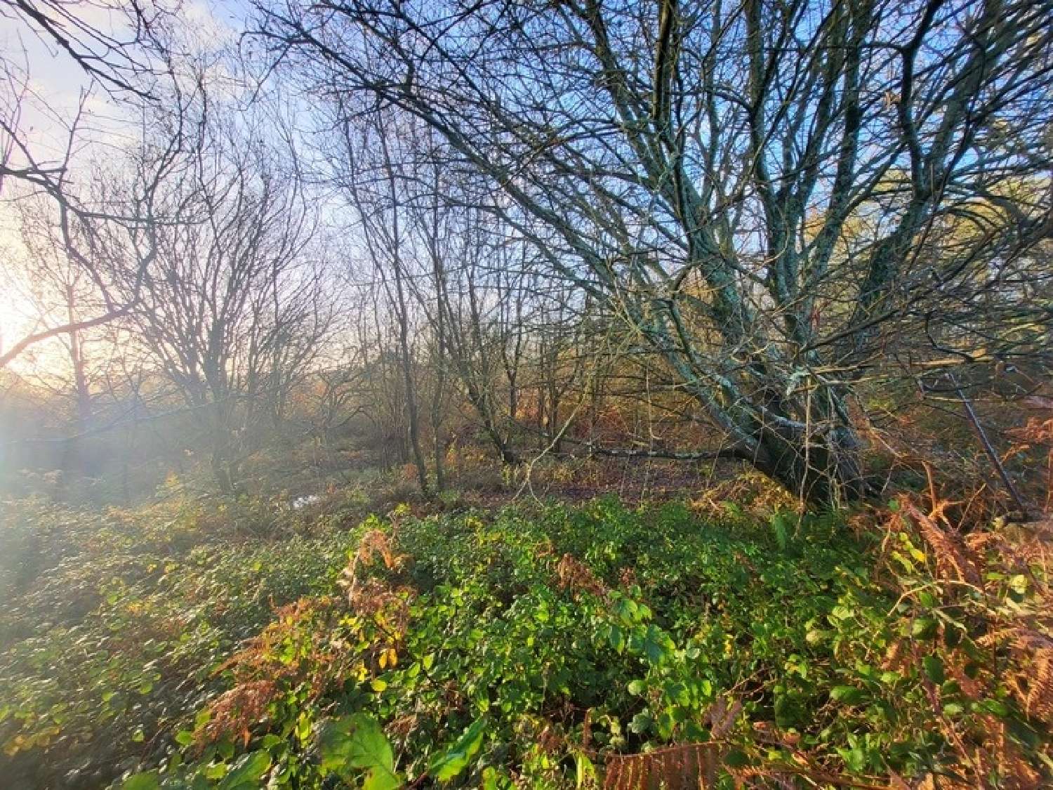  en venta terreno Telgruc-sur-Mer Finistère 4