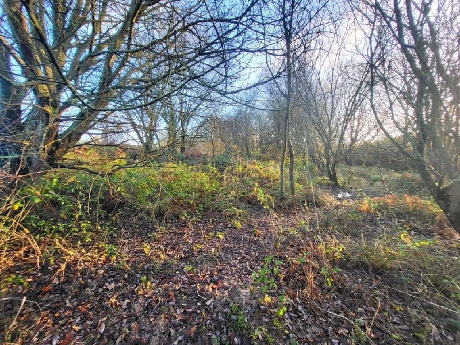  en venta terreno Telgruc-sur-Mer Finistère 5