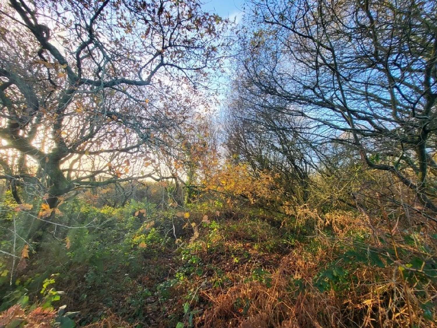  en venta terreno Telgruc-sur-Mer Finistère 7