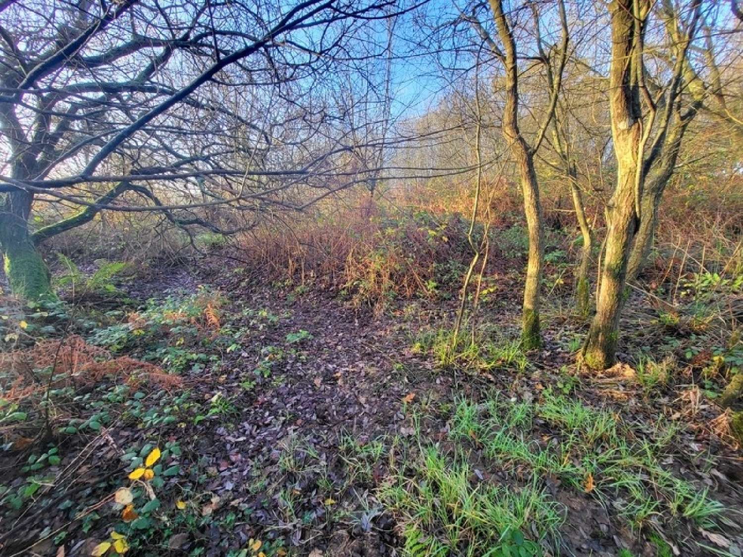  en venta terreno Telgruc-sur-Mer Finistère 8