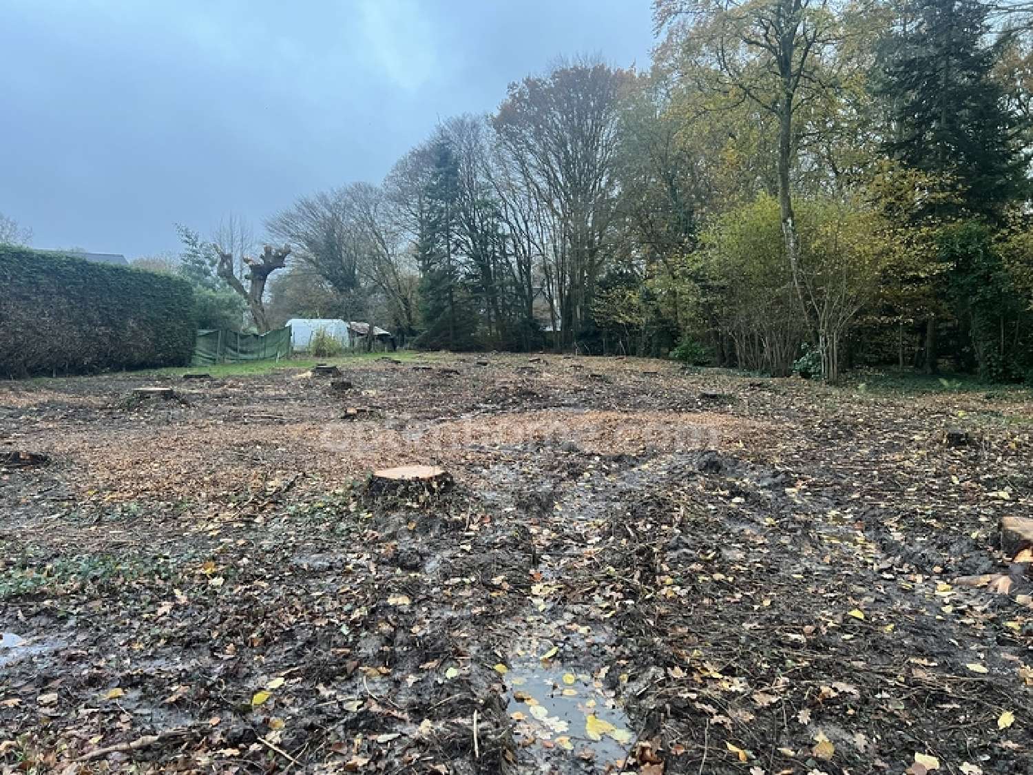  à vendre terrain Trigavou Côtes-d'Armor 2