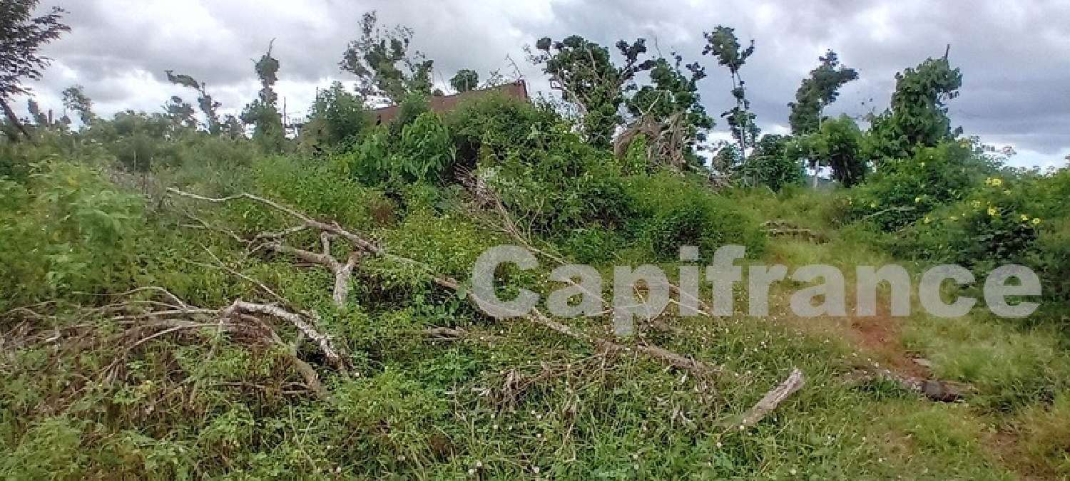 te koop terrein Tsingoni Mayotte 2