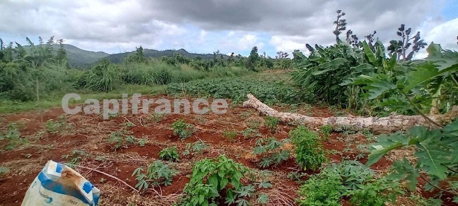 te koop terrein Tsingoni Mayotte 3