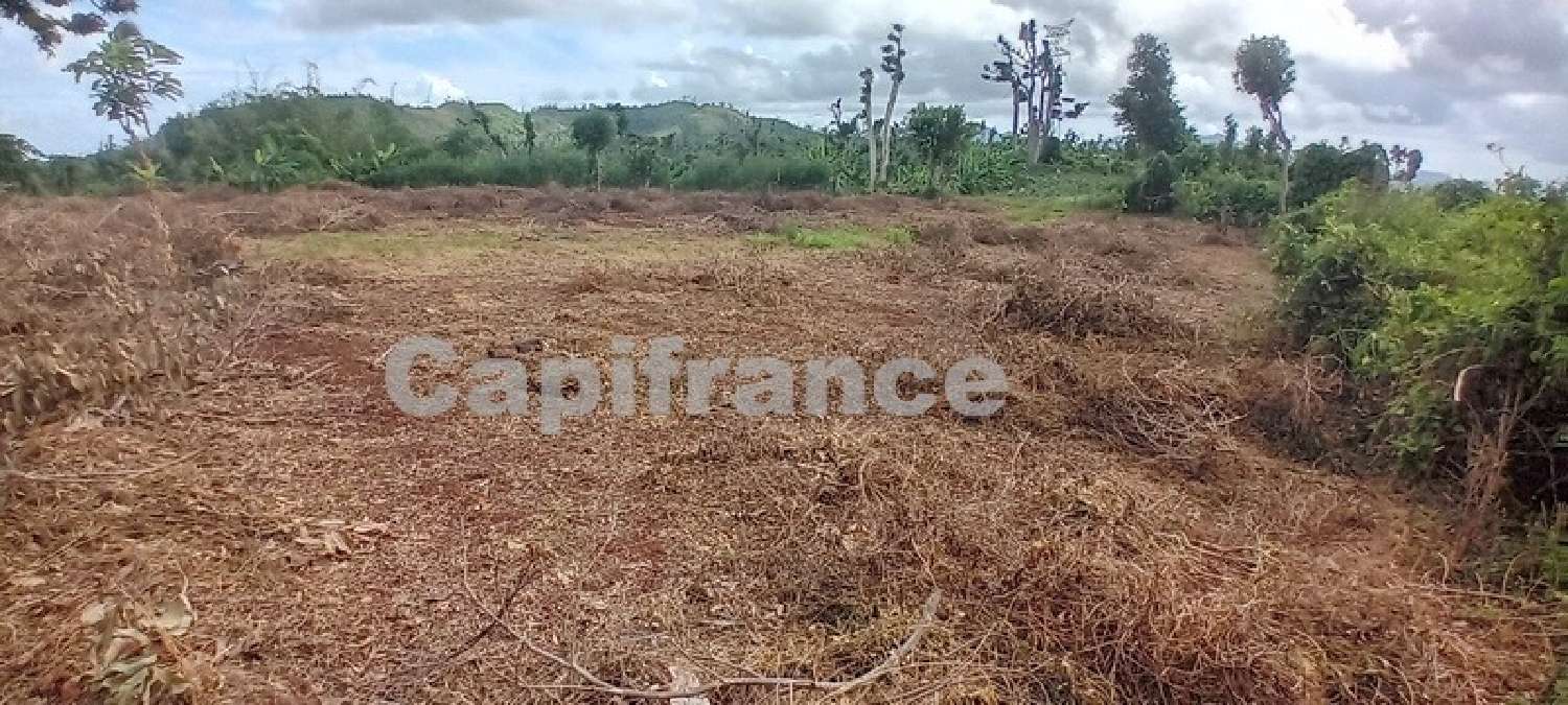 te koop terrein Tsingoni Mayotte 5