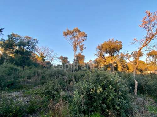 Uzès Gard terrein foto 7224773