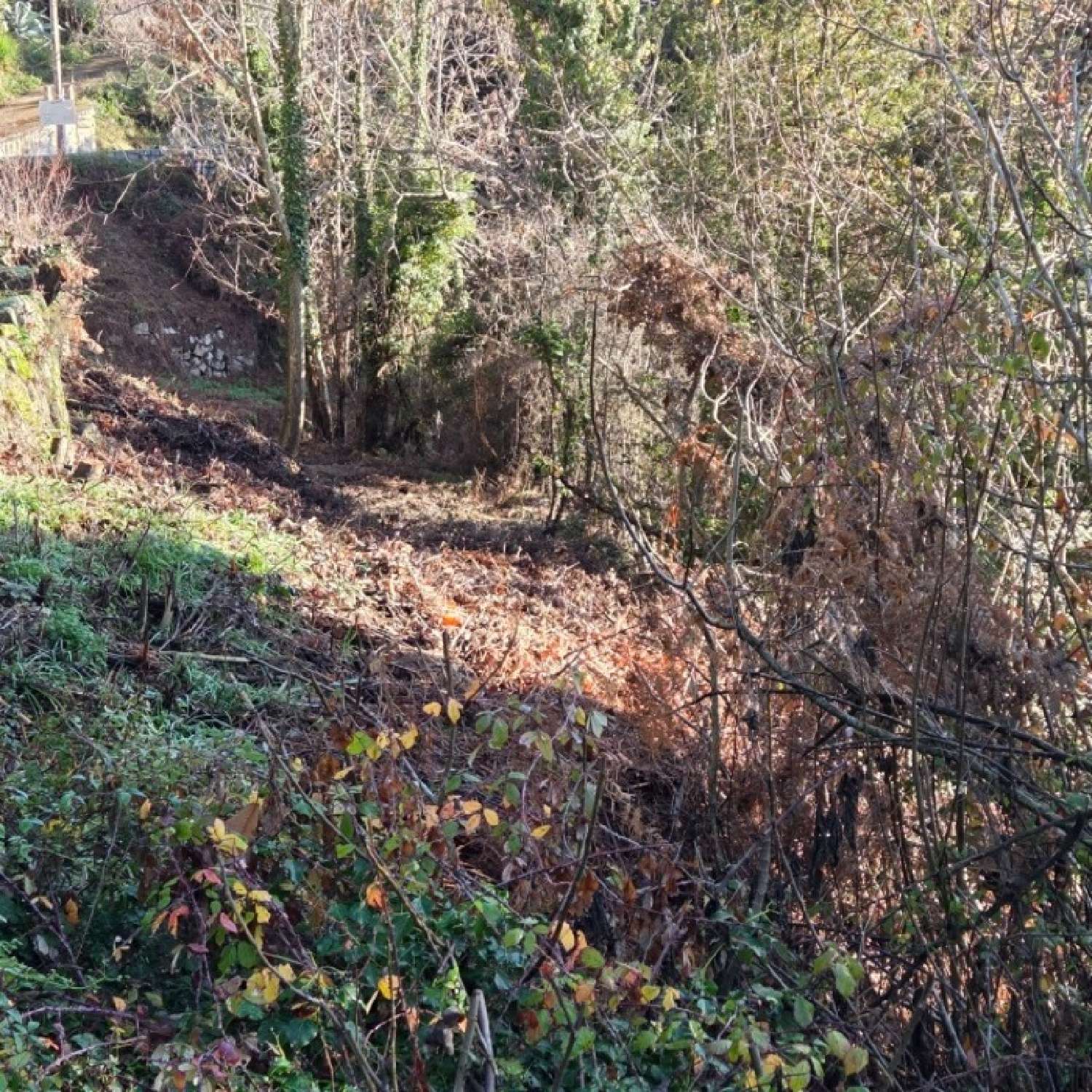  kaufen Grundstück Vero Corse-du-Sud 2