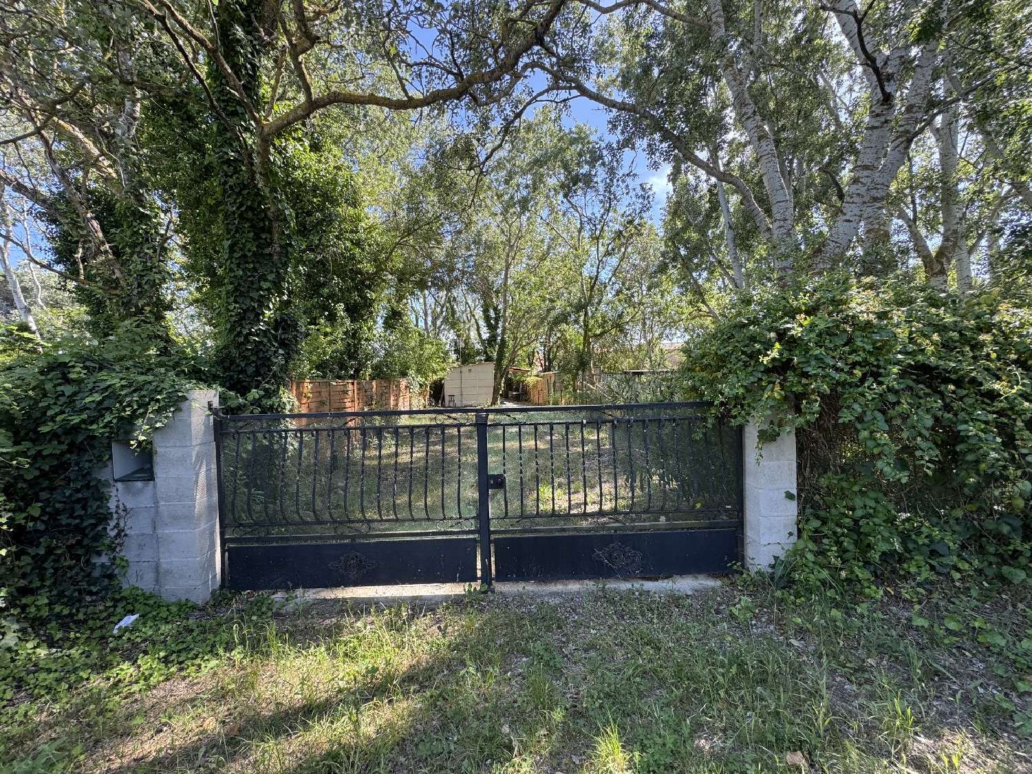  à vendre terrain Vias Hérault 1