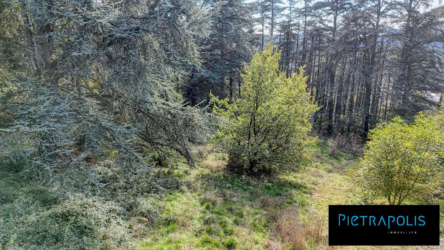for sale terrain Vienne Isère 6