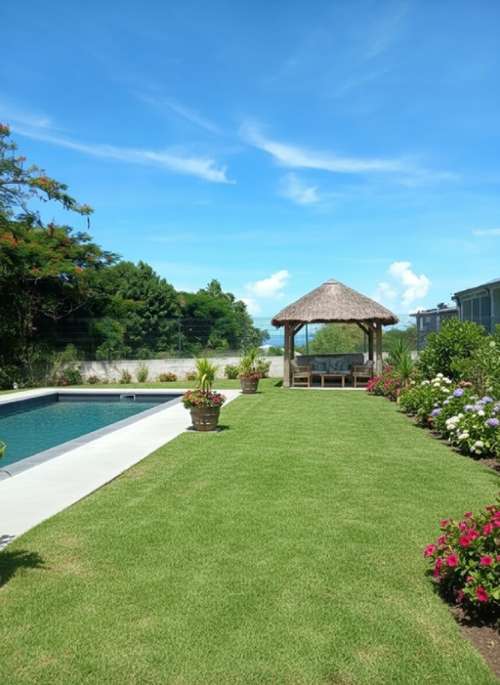 Vieux-Habitants Guadeloupe terrein foto 7220602