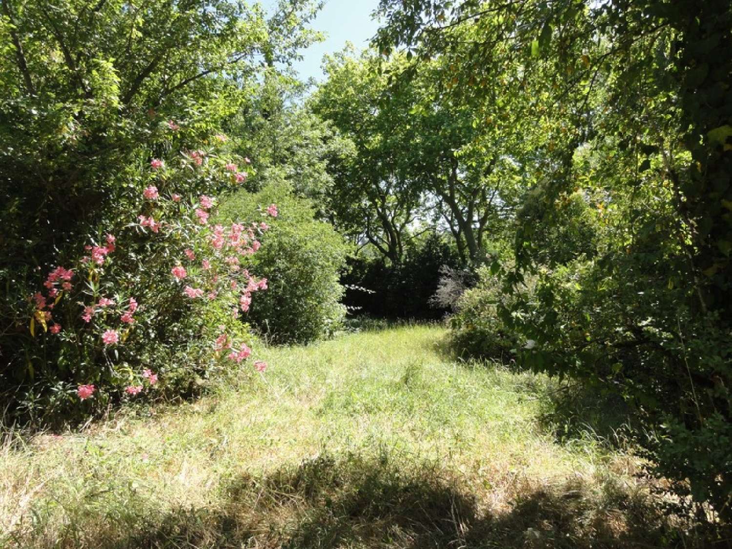 en venta terreno Villepinte Aude 1