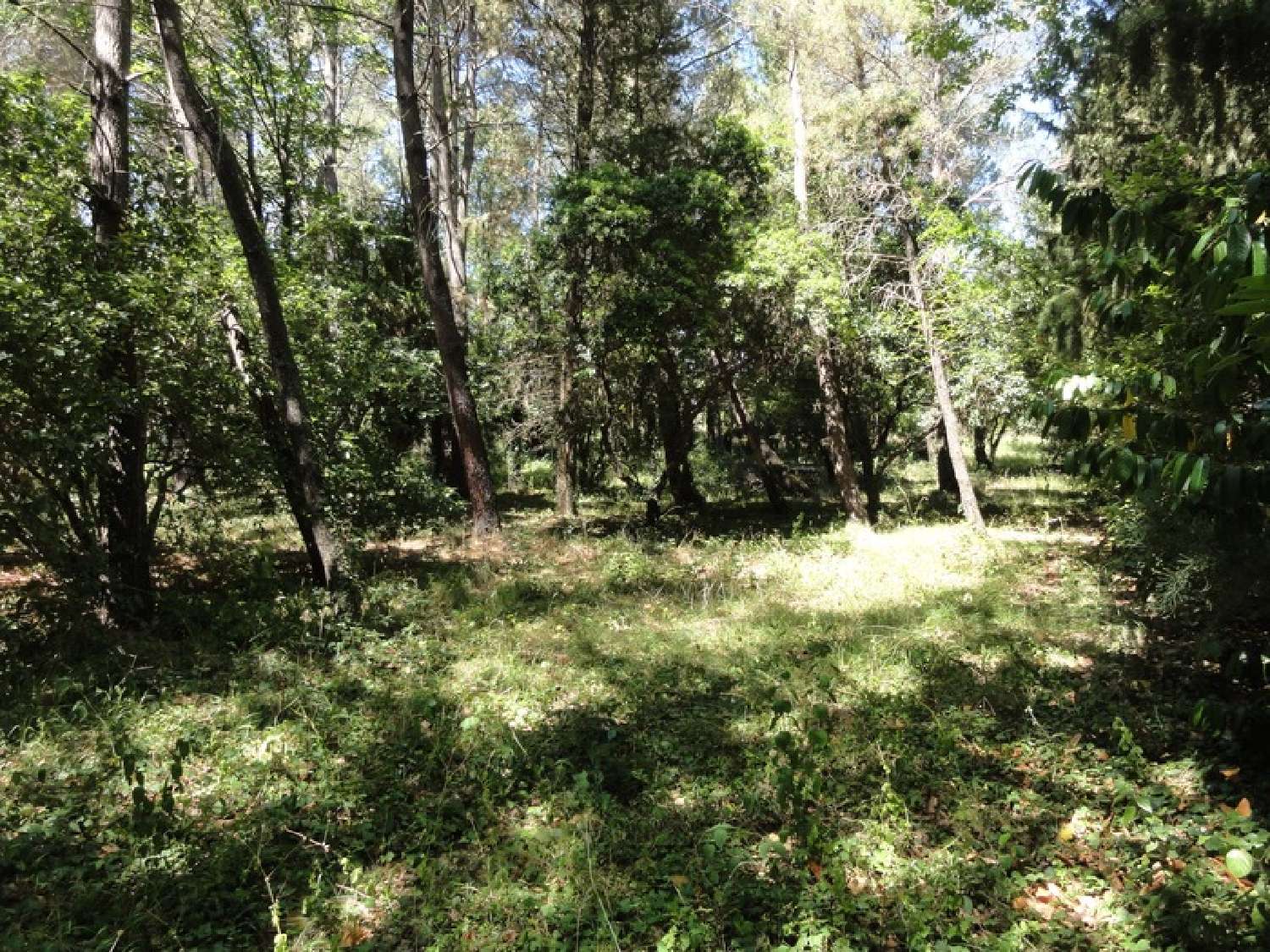 en venta terreno Villepinte Aude 4