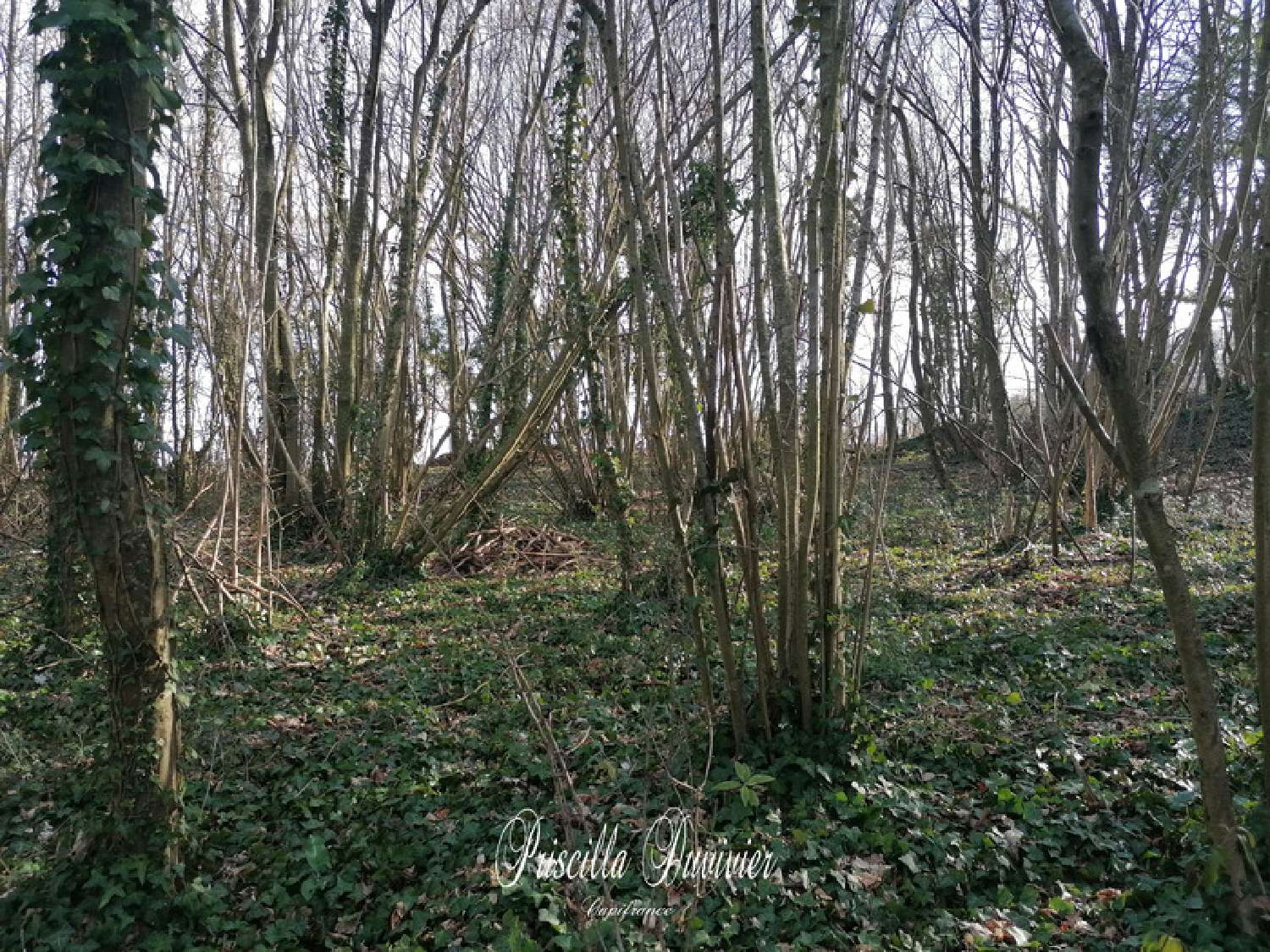 te koop terrein Villers-Saint-Sépulcre Oise 4