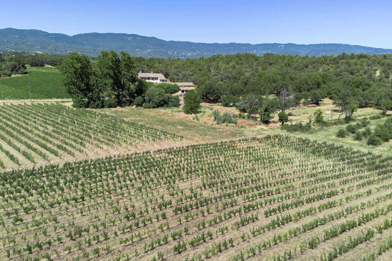  kaufen Villa Ansouis Vaucluse 5