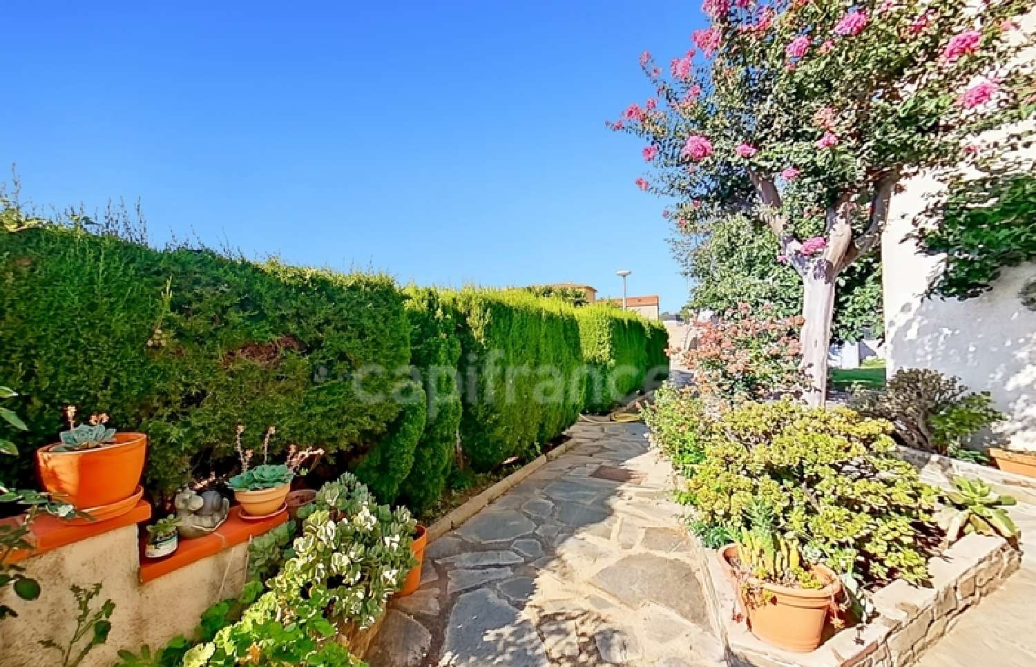 à vendre villa Argelès-sur-Mer Pyrénées-Orientales 2