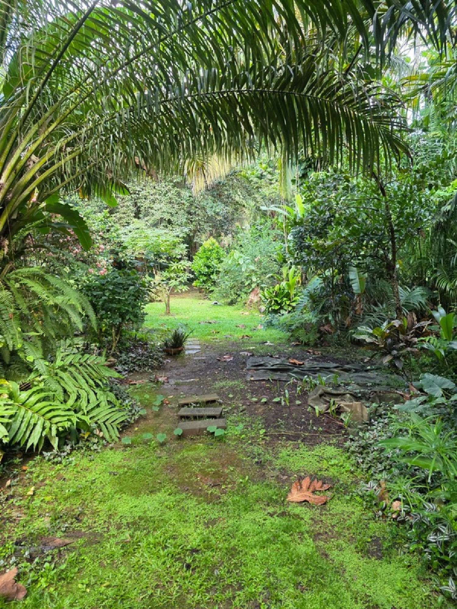  te koop villa Baie-Mahault Guadeloupe 2