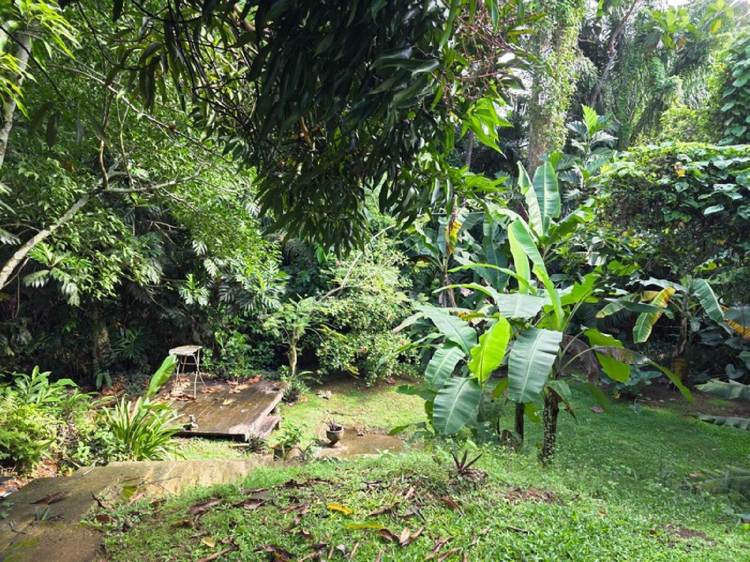  te koop villa Baie-Mahault Guadeloupe 8