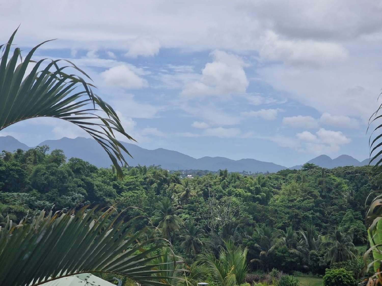  te koop villa Baie-Mahault Guadeloupe 1